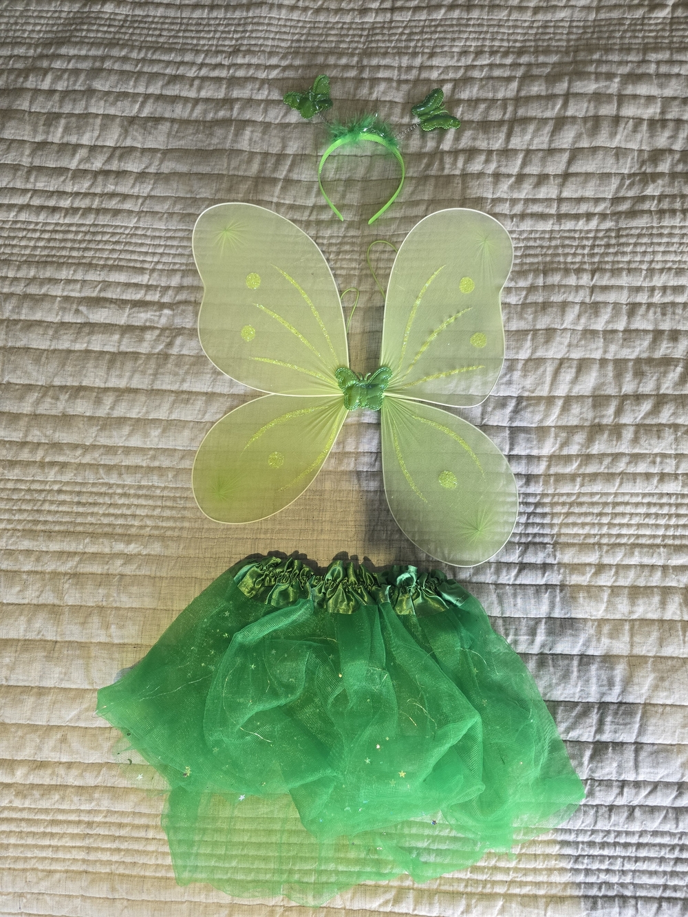 Green Fairy Wings and Tutu Costume Set - Kids